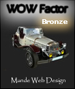 WOW Factor Award
